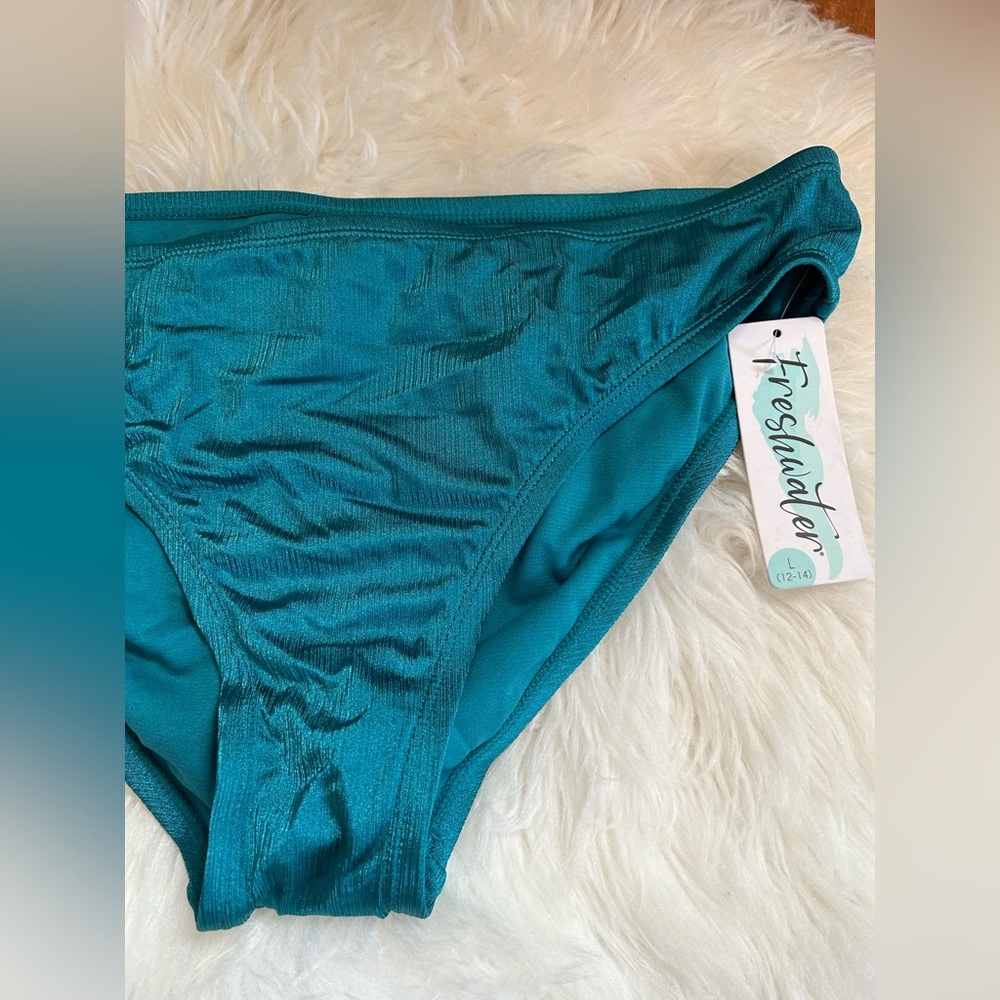 Sheer blue bikini bottoms